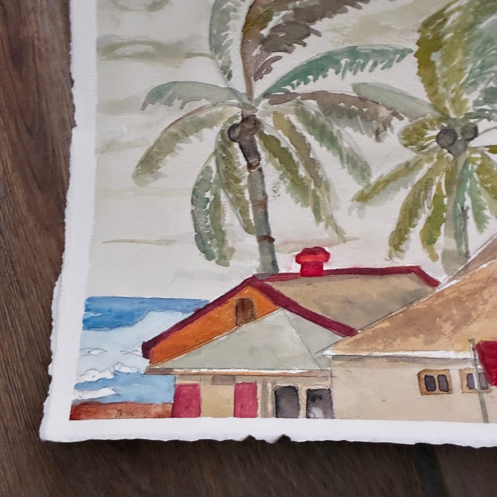 Warren C Plauche Watercolor Painting Hurricane in the Bahamas Coconuts - Picture 6 of 8